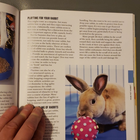 How to Raise Rabbits book - Picture 7 of 8
